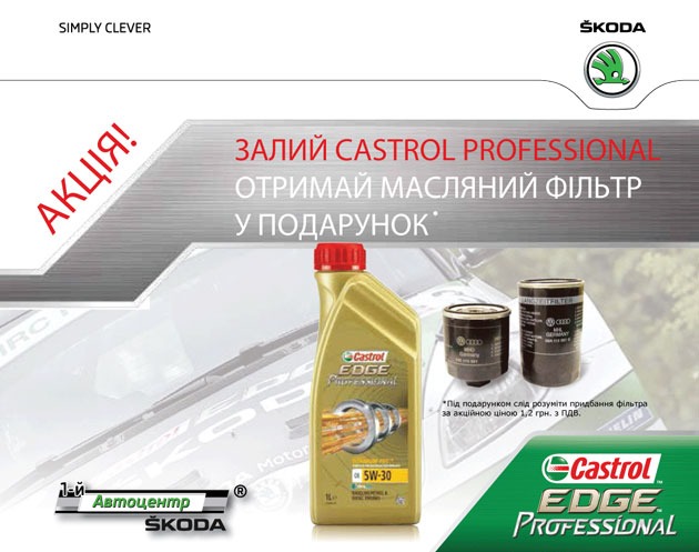  CASTROL PROFESSIONAL    Բ  *