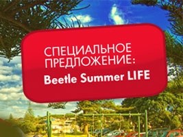     Volkswagen Beetle Summer LIFE