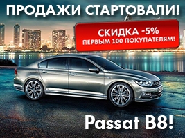 -5%  100   Passat B8!