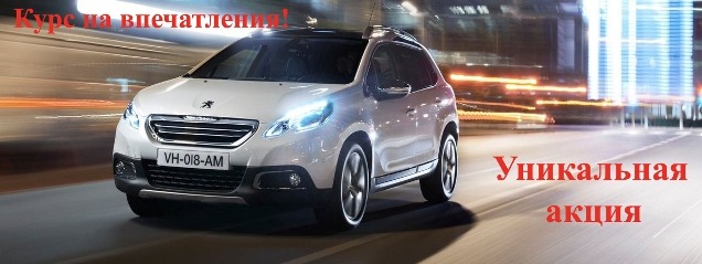   Peugeot 2008     21,8 /$!