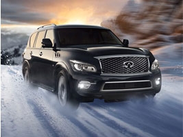      Infiniti QX80   -   .