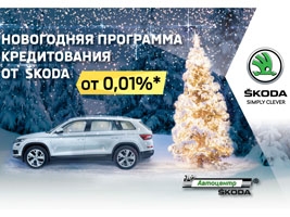     :      SKODA