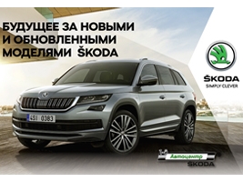 SKODA  :    SKODA VISION X   