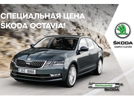  :    SKODA OCTAVIA