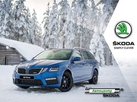  : SKODA  1,25       2018 