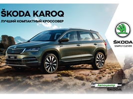 SKODA KAROQ    !