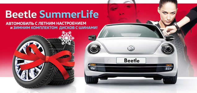 Beetle Summer Life -       ! 