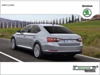 SKODA Superb     30 900  !