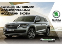 SKODA  :    SKODA VISION X   